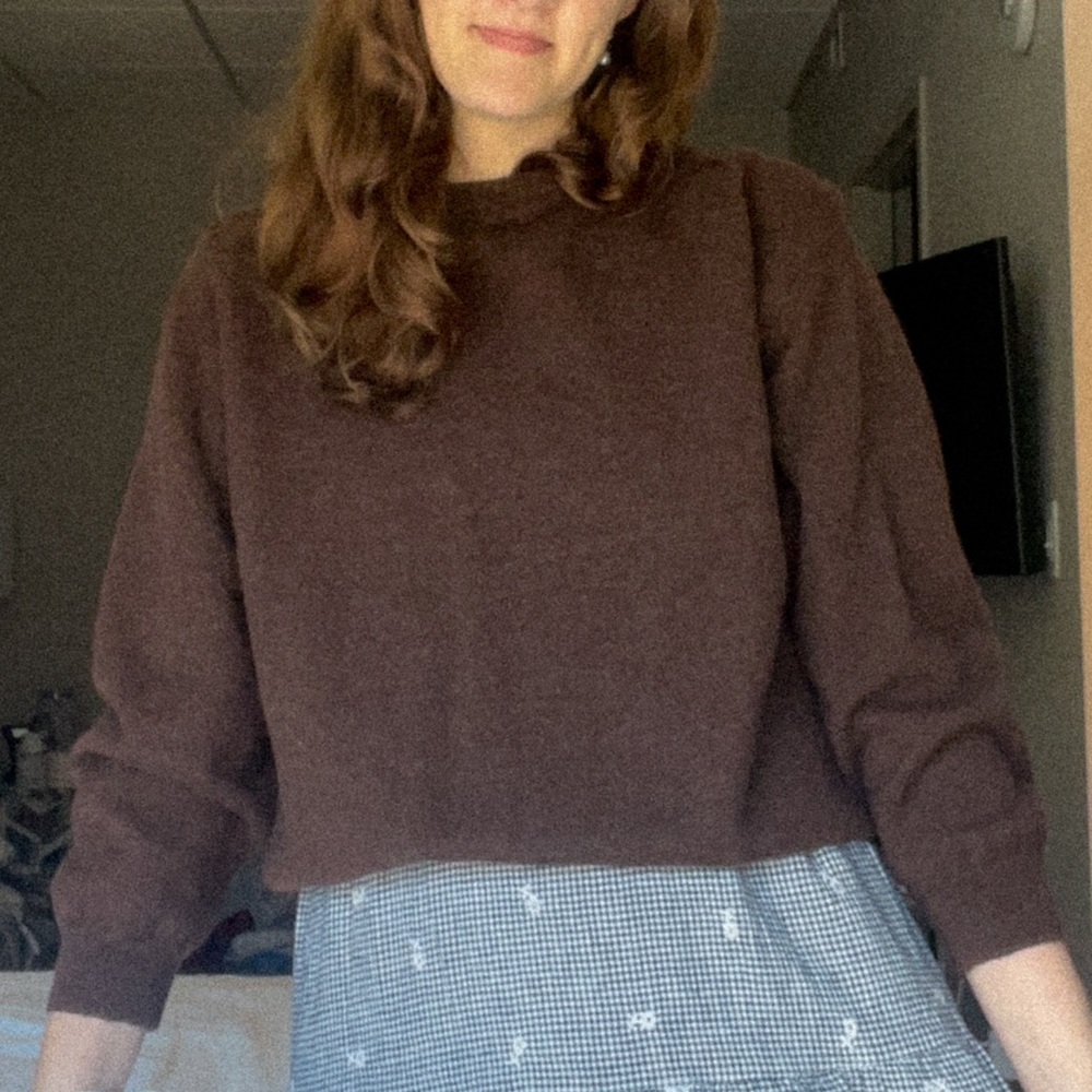 100% Wool Sweater (Tag says XXL, but fits comfortably as a Small/Medium)